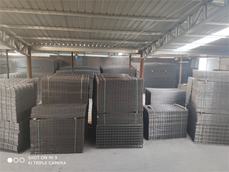 IMG_20201120_160934.jpg IMG_20201120_160934.jpg